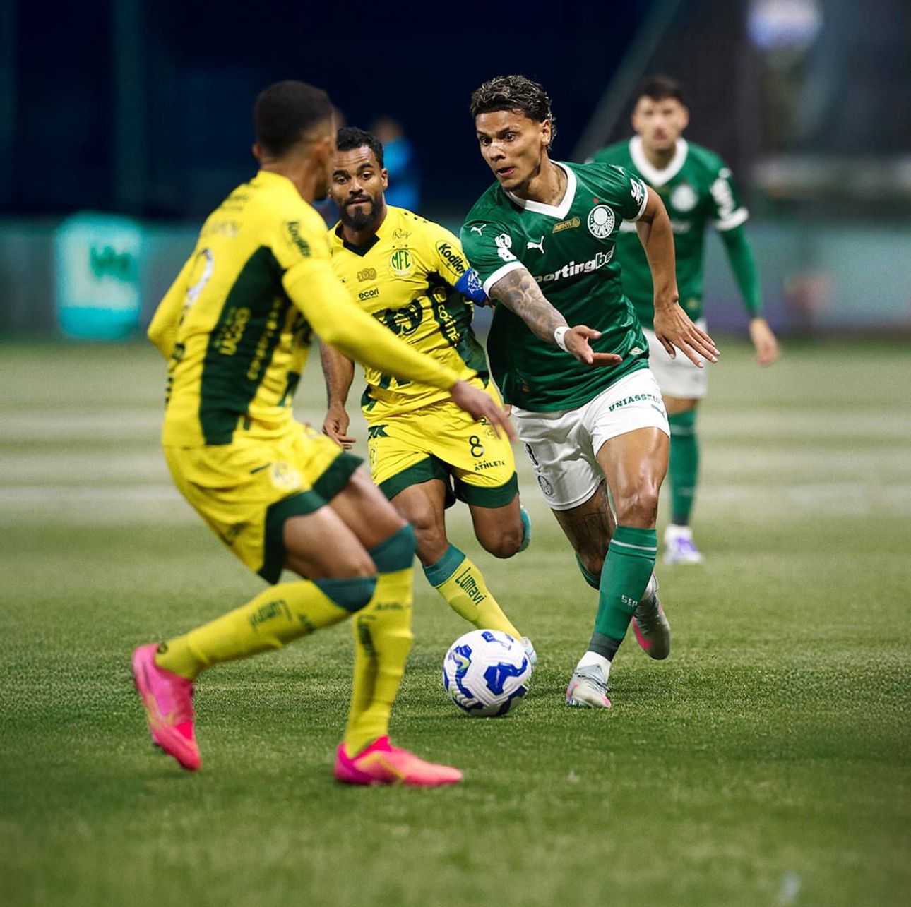 📸Foto por Palmeiras